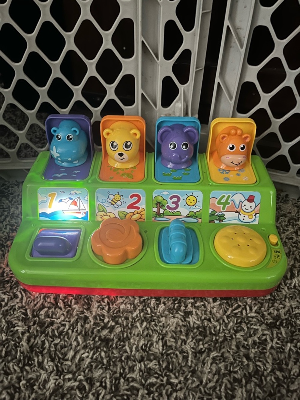Interactive Pop-Up Animal Toy - Multicolor
